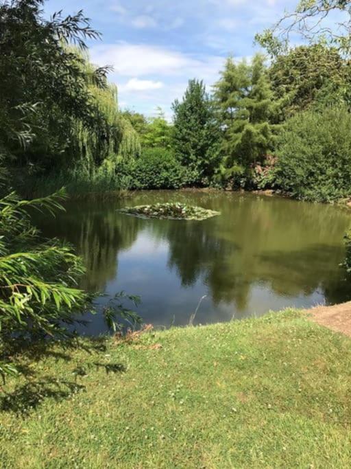 Propriete De Charme Avec Piscine Interieure Lille Villa Marcq-en-Baroeul Exterior photo